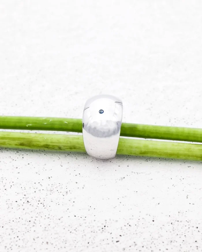 Snapshot of happiness | Blue sapphire